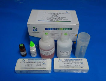 набор функционального теста спермы 40Т/Кит для детерминированного фосфорилирования тирозина протеина