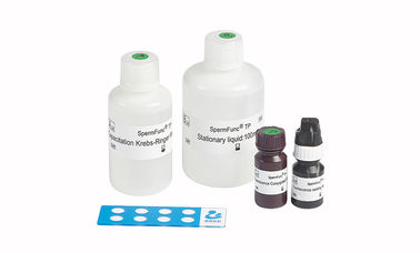 набор функционального теста спермы 40Т/Кит для детерминированного фосфорилирования тирозина протеина