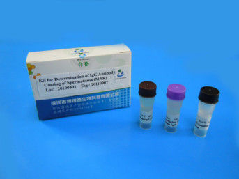 Набор теста мужской плодовитости СпермФунк для сперматозоидов покрытия антитела ИгГ определения