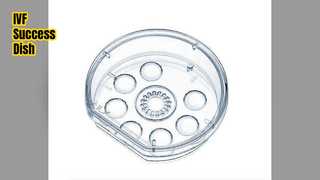 Таймлапс-блюдо для успеха ЭКО