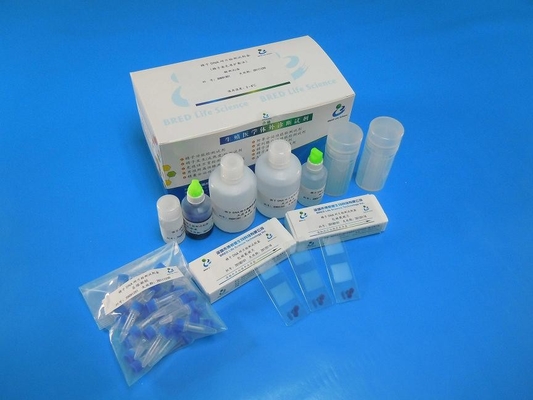 Утвержденный набор реагентов для анализа фрагментации ДНК сперматозоидов с окраской Райта, 40 тестов/набор
